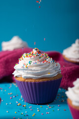Candy cupcake blue and pink