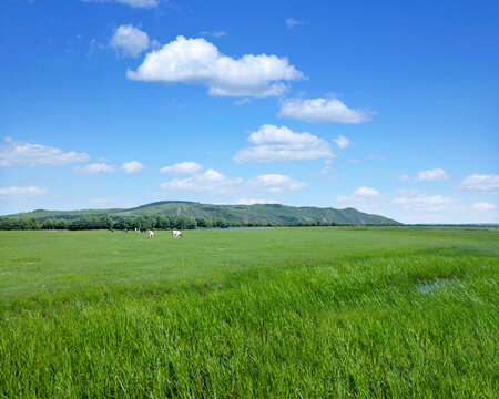 The hulunbuir ewenki flag yi min river plains
