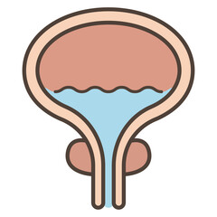膀胱と前立腺のイラスト