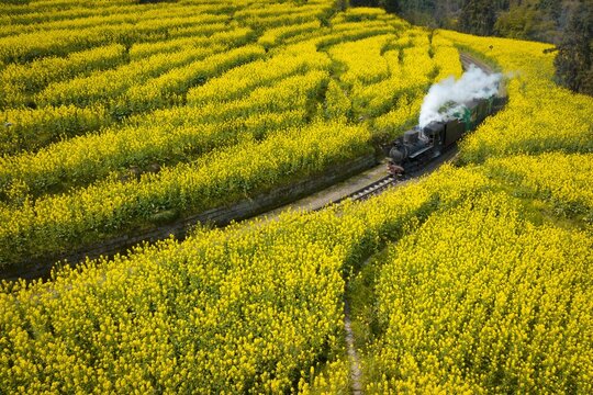 Sichuan qianwei jia Yang little train
