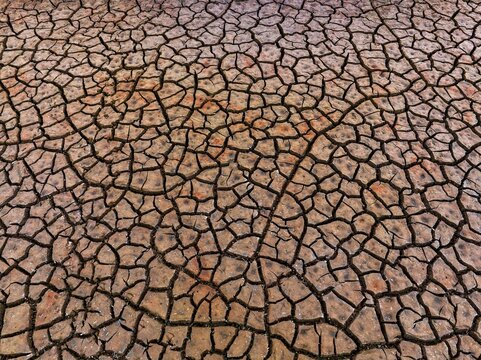 The parched fields