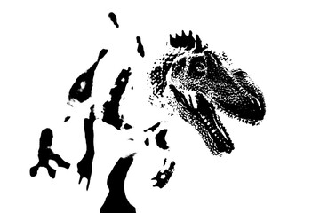 black dinosaur silhouette isolated on white background, model of giganotosaurus toy © sutichak