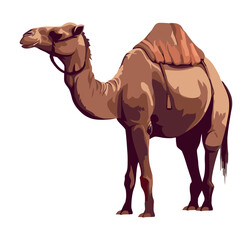 camel animal icon isolated