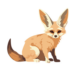 fennec fox on white background