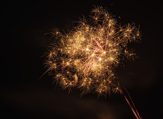 multiple bright yellow blue and red fireworks at night