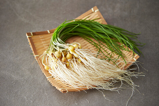 Val Chive