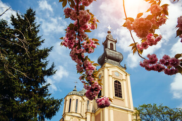 Serbian Orthodox Cathedral of the Blessed Virgin Mary in Sarajevo is the largest Orthodox church in...
