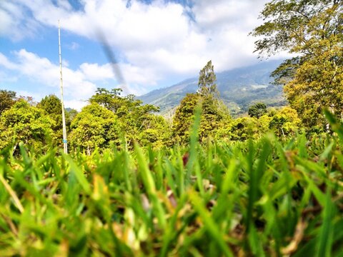 view of the sky and nature at welirang mountain camping camp.