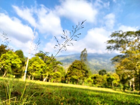 view of the sky and nature at welirang mountain camping camp.