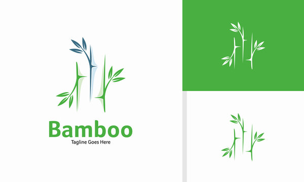 Vector bamboo tree leaf logo design