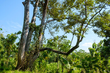 Kuningan west java,city view at night with peace of mind 