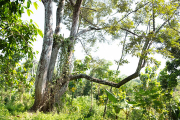 Kuningan west java,city view at night with peace of mind 