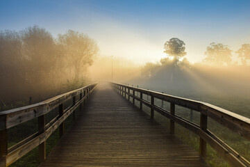 sunrise over the river