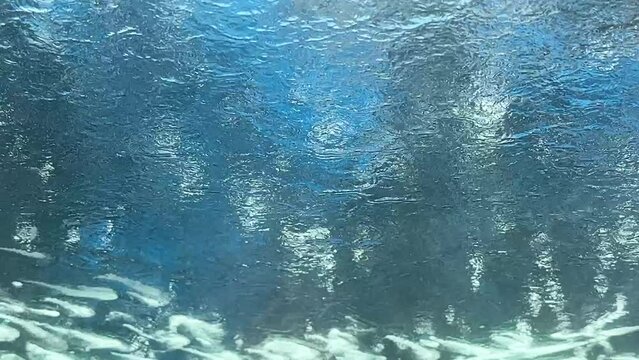 Drive-thru Express Car Wash; Soapy Suds Cleaning Front Window.
