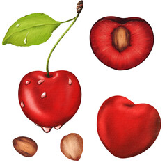 Set of bright juicy ripe delicious cherries with seeds and leaf. Juicy summer berry with morning dew drops. Ideal for juice, jam, pie, muffin, lemonade, gum prints. Watercolor isolated illustration