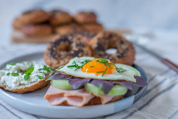 Assortment of freshly made bagels 