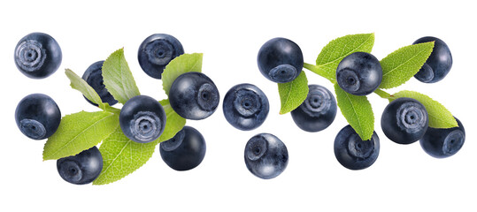 Many fresh ripe blueberries and green leaves flying on white background