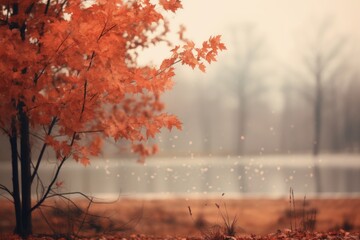 Autumn forest background