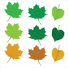Fall leaves isolated on white background collection. Orange and green maple leaves pattern. Vector illustration.