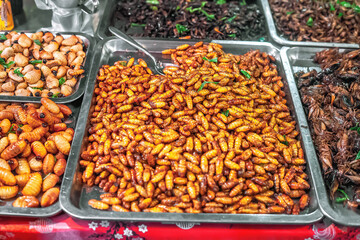 Thai food deep fried spicy silk worms at night street market in Phuket, Thailand. Edible insects, selective focus