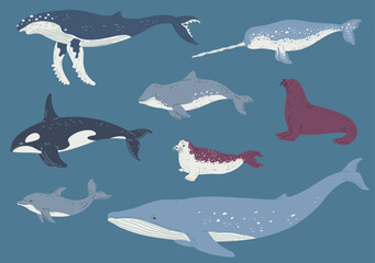 Set of vector illustrations of marine mammals isolated on aquamarine color background © sabelskaya