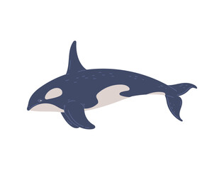 Vector illustration of Killer whale, cute marine mammal in cartoon character, isolated on white background
