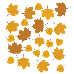 Fall leaves isolated on white background collection. Orange maple leaves pattern. Vector illustration.