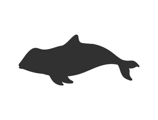 Killer whale or orca black silhouette of sea predator animal, vector isolated.