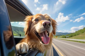 Poster A dog peeks out from the window of a moving car with a happy expression on its face. Blue sky and clouds background. Holidays and vacation travel concept. © cwa