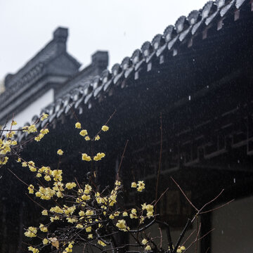 Rain throttle figure captions