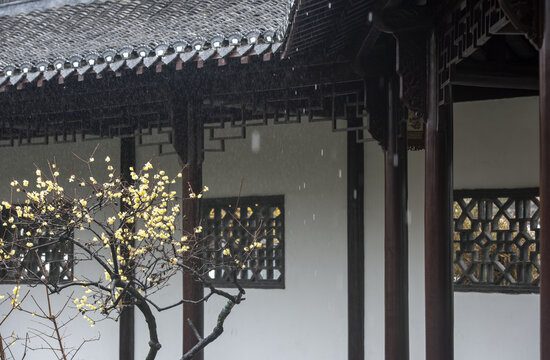 Rain throttle figure captions