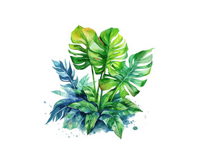 Watercolor tropic leaf. Vector illustration design.
