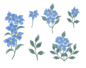 Hand Drawn Delphinium Flower Illustration