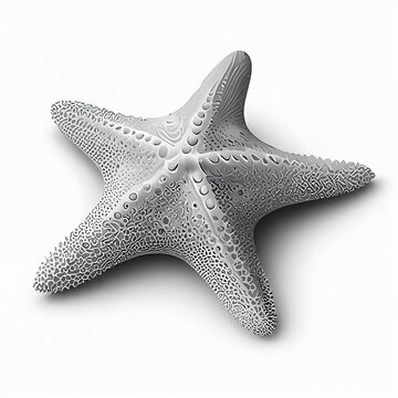 starfish on white background, smaile seastar, starfish clipart, solid white background, Ai generated image