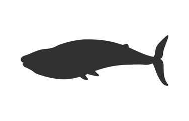 Blue whale silhouette, flat vector illustration isolated on white background.