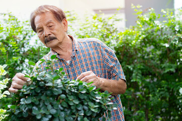 Cropped image of Asian retired man pruning a tree at home with satisfaction.