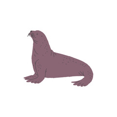 Seal or sea lion, flat vector illustration isolated on white background.