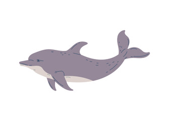 Cute dolphin swimming, flat vector illustration isolated on white background.
