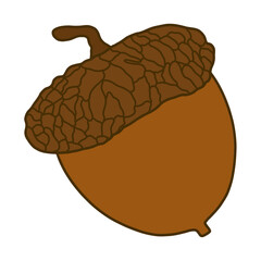 Acorn Illustration