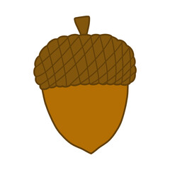 Illustration of Acorn