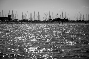 Between sea and lagoon. Sailing trip between the Marano lagoon and the Gulf of Trieste. Black and white.