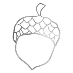 Silver Acorn Drawing