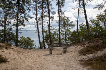 wooden relax bench seat on lake coast atlantic ocean in Carcans atlantic southwest in gironde france view