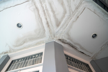 Ceiling panels with fungus outside house from water pipes damaged or rainy leaked. Office building or house problem for house service. - 646241084