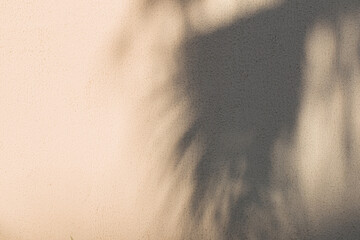 background of shadows of palm leaves on the wall in sunlight