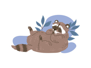 Vector illustration of cute racoon lies on his back and covers mouth with paws, isolated on white background