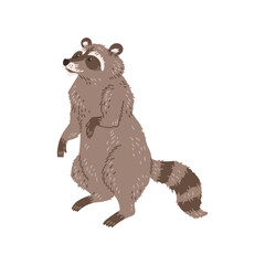 Curious raccoon stands on hind legs flat style, vector illustration