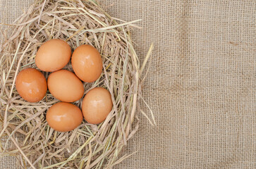 Fresh Chicken eggs are placed on haystack and on sackcloth with copy space