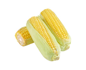 Corn transparent png