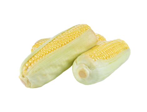 Corn transparent png